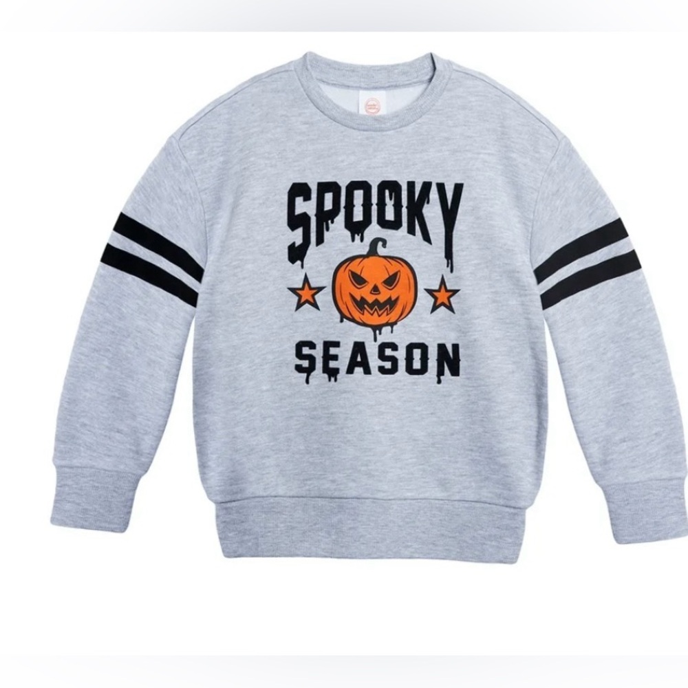 🔴 3/$12 Wonder Nation Husky Boy’s Gray Sweatshirt with Pumpkin! NWT! Size Small!